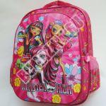 Рюкзак ранец школьный DRIZZLY 555 (12картинок)