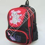 Рюкзак ранец школьный DRIZZLY 5011
