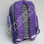Рюкзак ранец школьный DRIZZLY 809