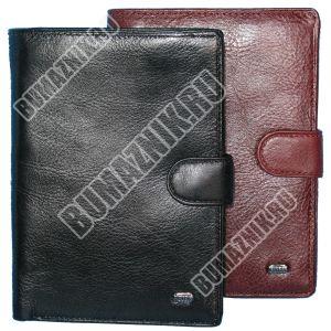 Обложка-кошелек с отделениями и вставками Petek1(3)-3810(чк,кн)